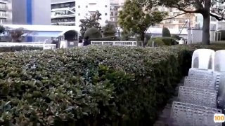 【最新黑料】校园泄密~调教小幼师公司楼梯间口交爆操